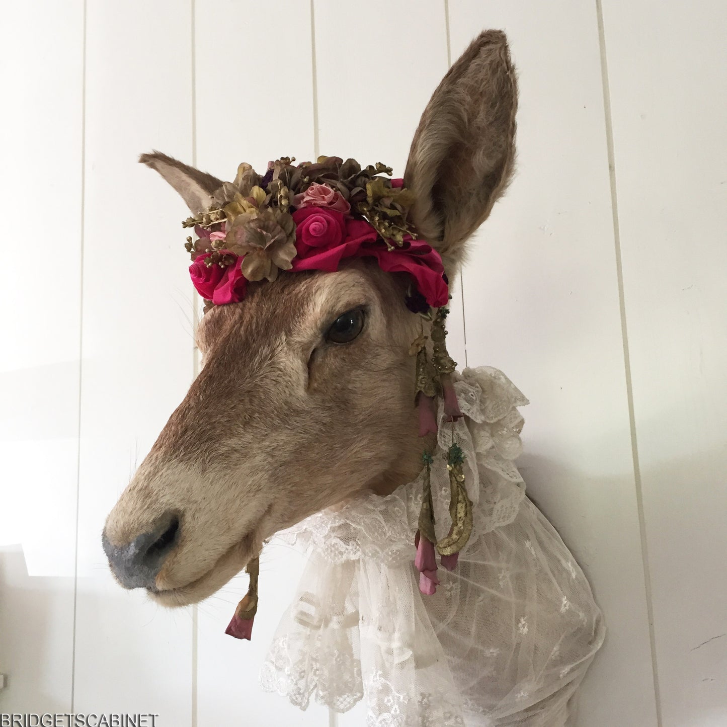 Enchanting Taxidermy Deer Head