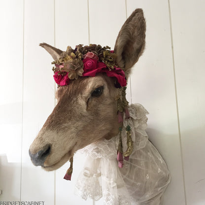 Enchanting Taxidermy Deer Head