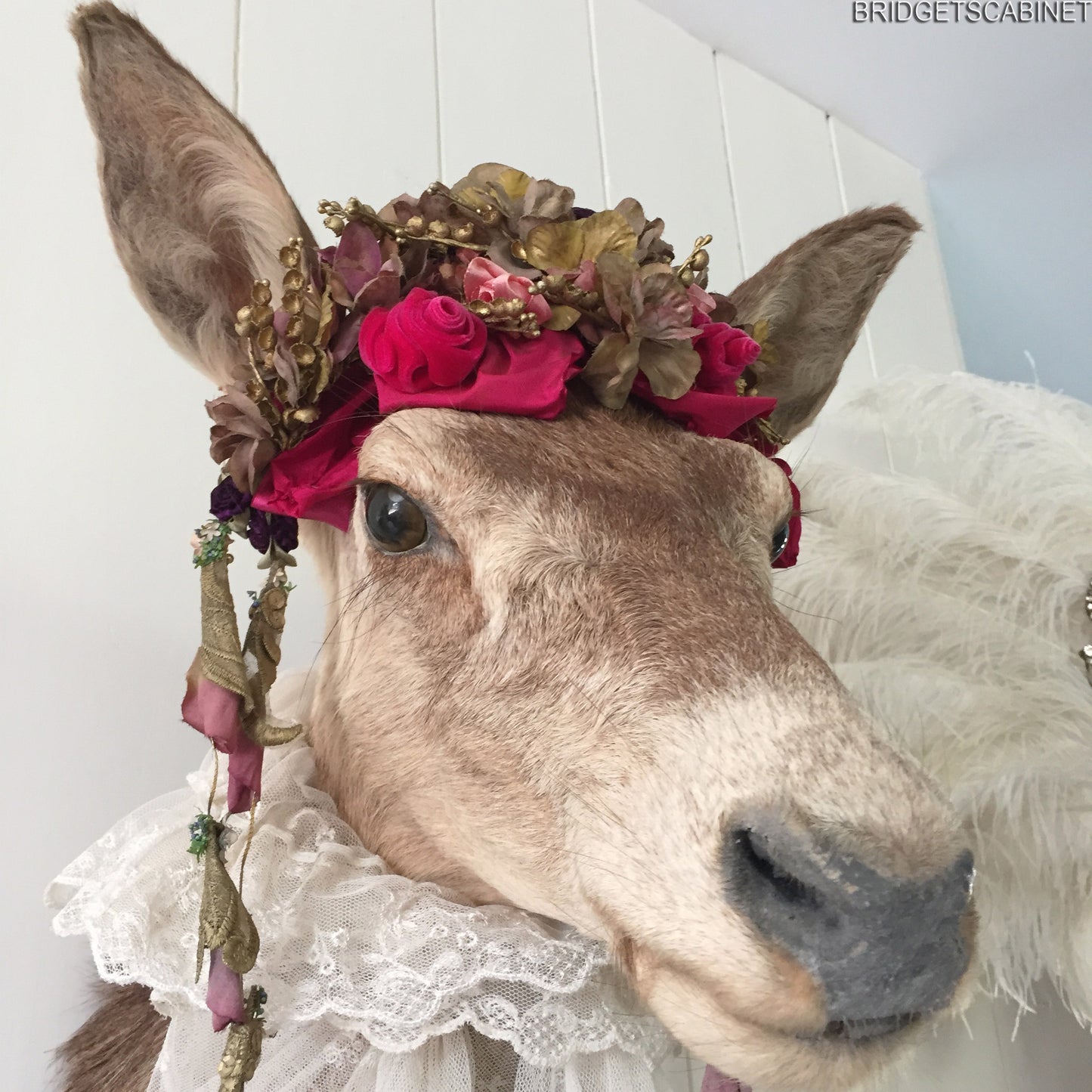 Enchanting Taxidermy Deer Head