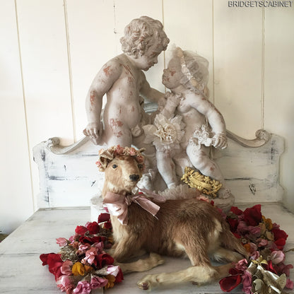 Taxidermy Goat