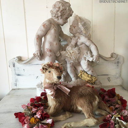 Taxidermy Goat