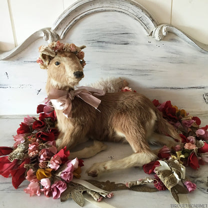 Taxidermy Goat