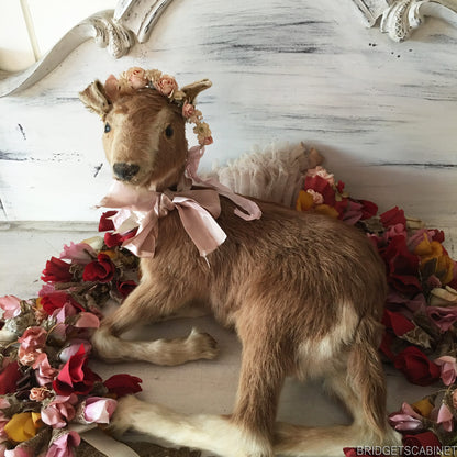 Taxidermy Goat