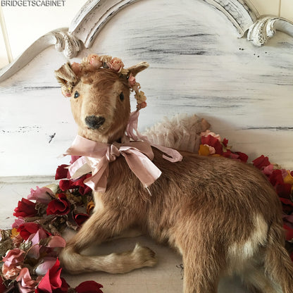 Taxidermy Goat