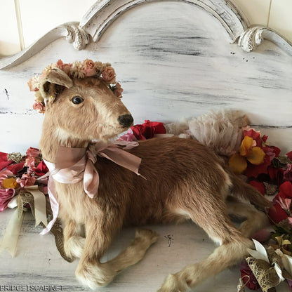 Taxidermy Goat