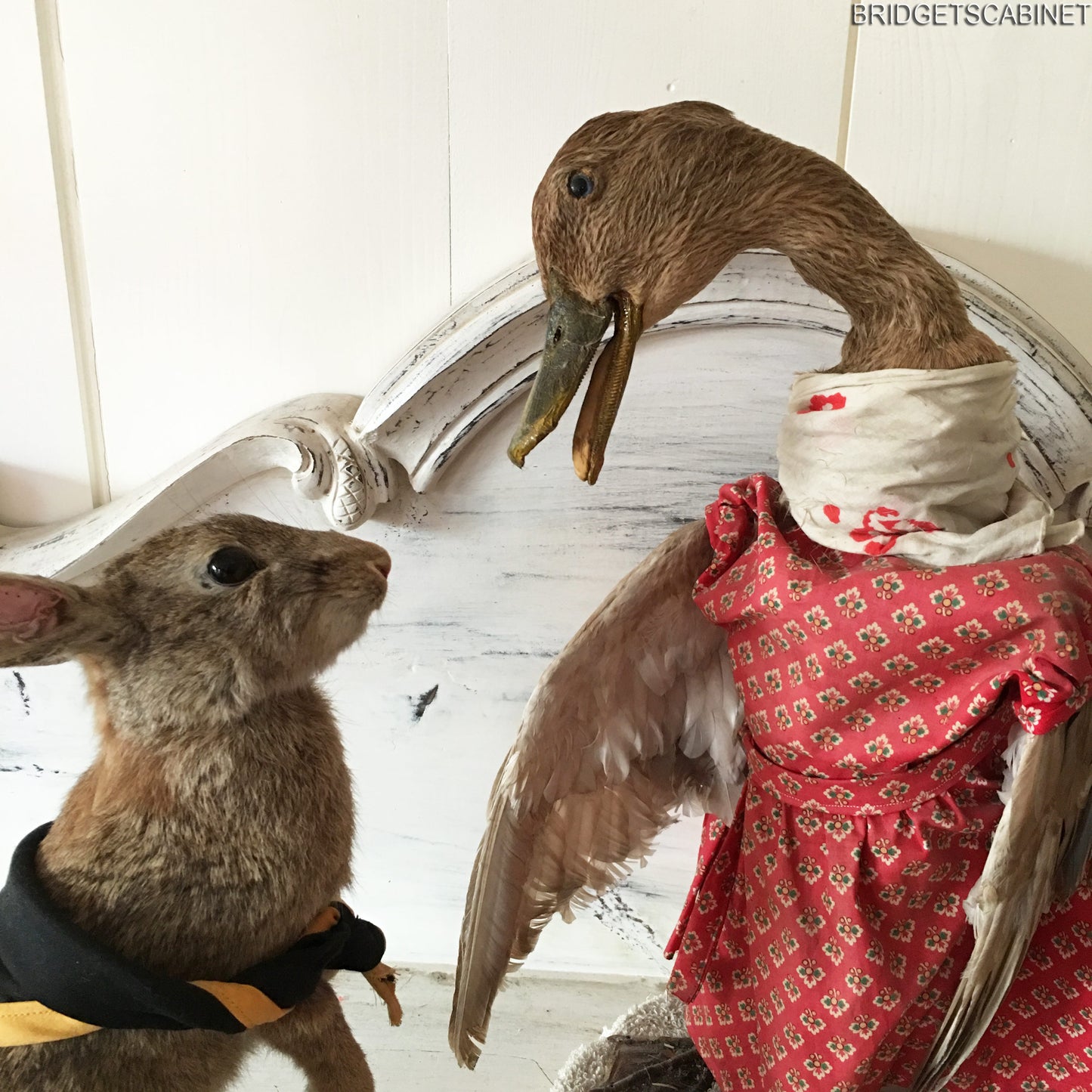 Scene of 5 1930s Taxidermy Animals