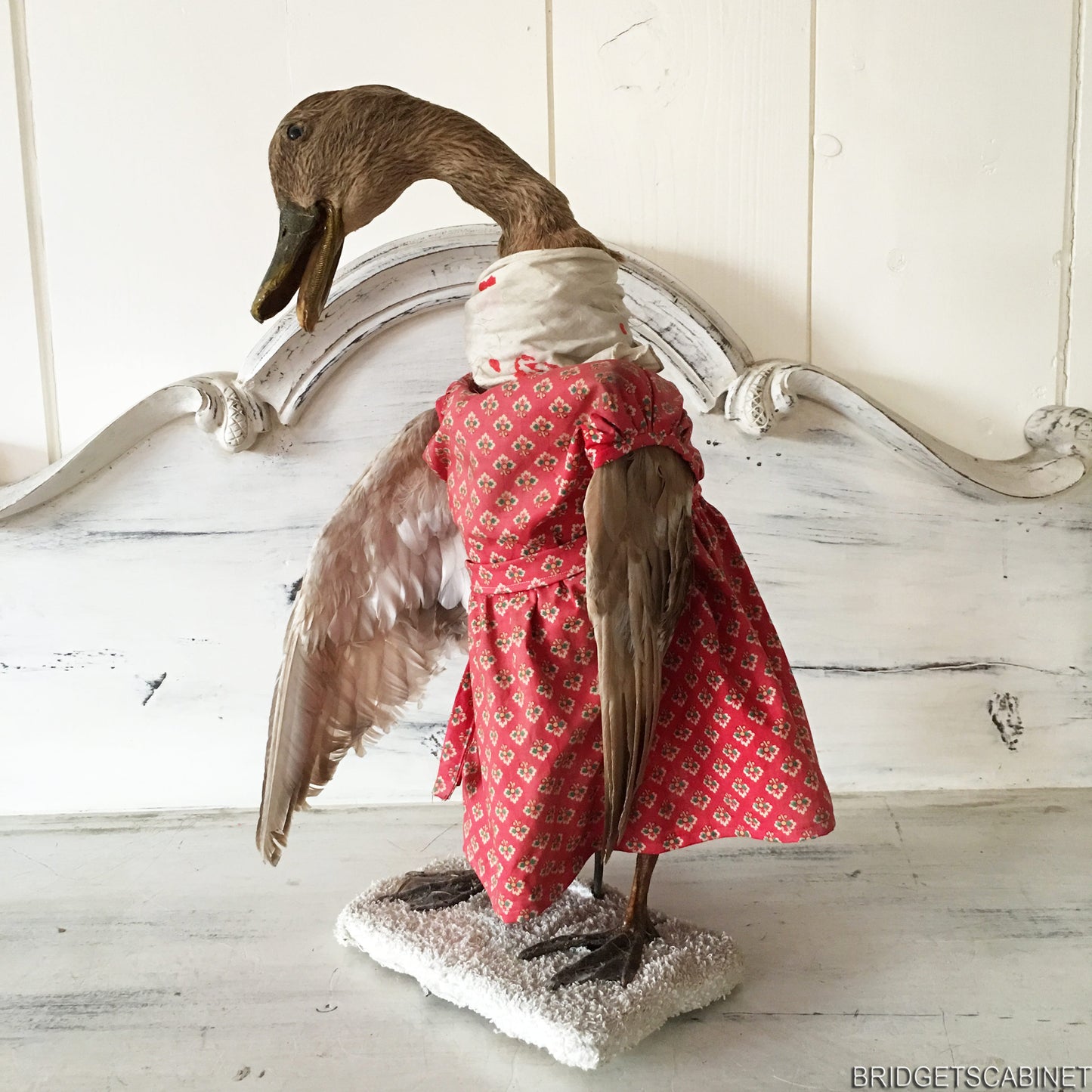Scene of 5 1930s Taxidermy Animals