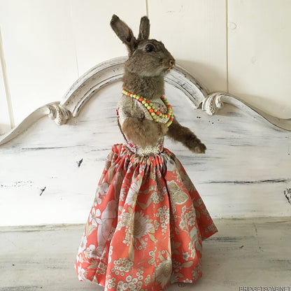 Scene of 5 1930s Taxidermy Animals