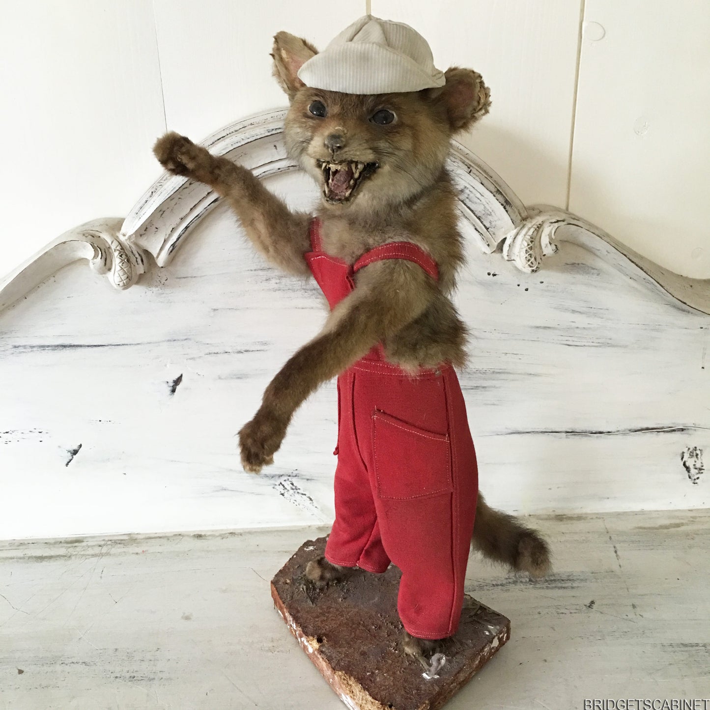 Scene of 5 1930s Taxidermy Animals