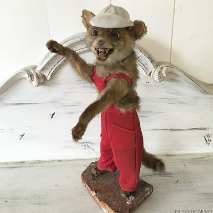 Scene of 5 1930s Taxidermy Animals