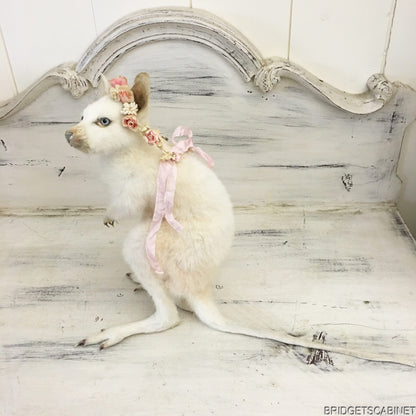 Taxidermy White Wallaby