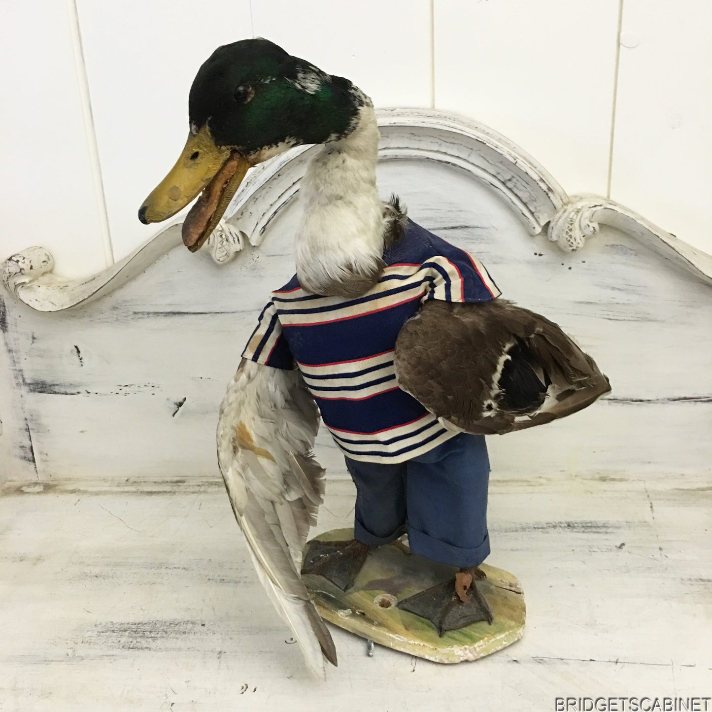Scene of 5 1930s Taxidermy Animals