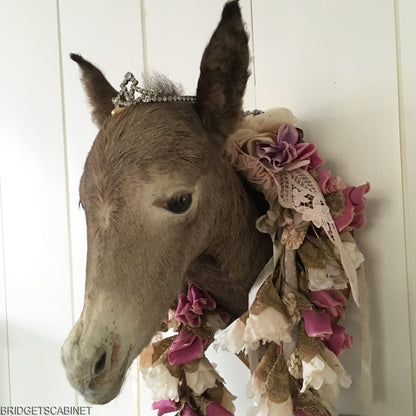 Vintage Taxidermy Foal Mule Head Mounted