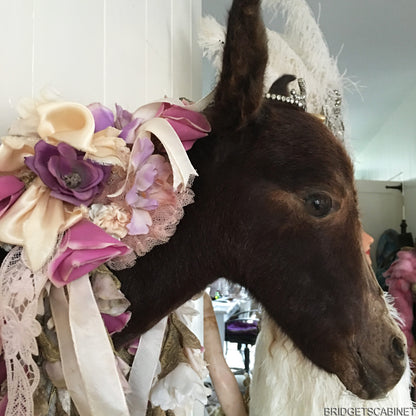 Vintage Taxidermy Foal Mule Head Mounted
