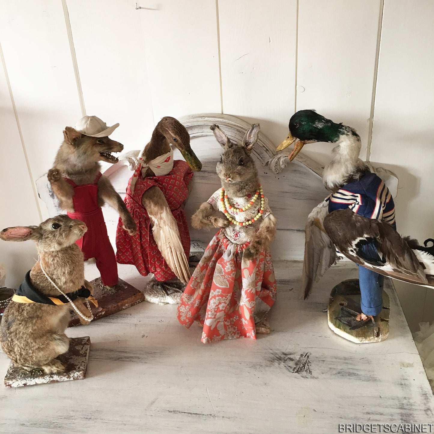 Scene of 5 1930s Taxidermy Animals