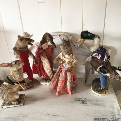 Scene of 5 1930s Taxidermy Animals