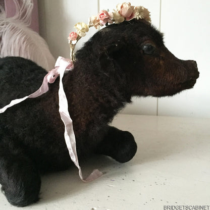 Vintage Taxidermy Calf