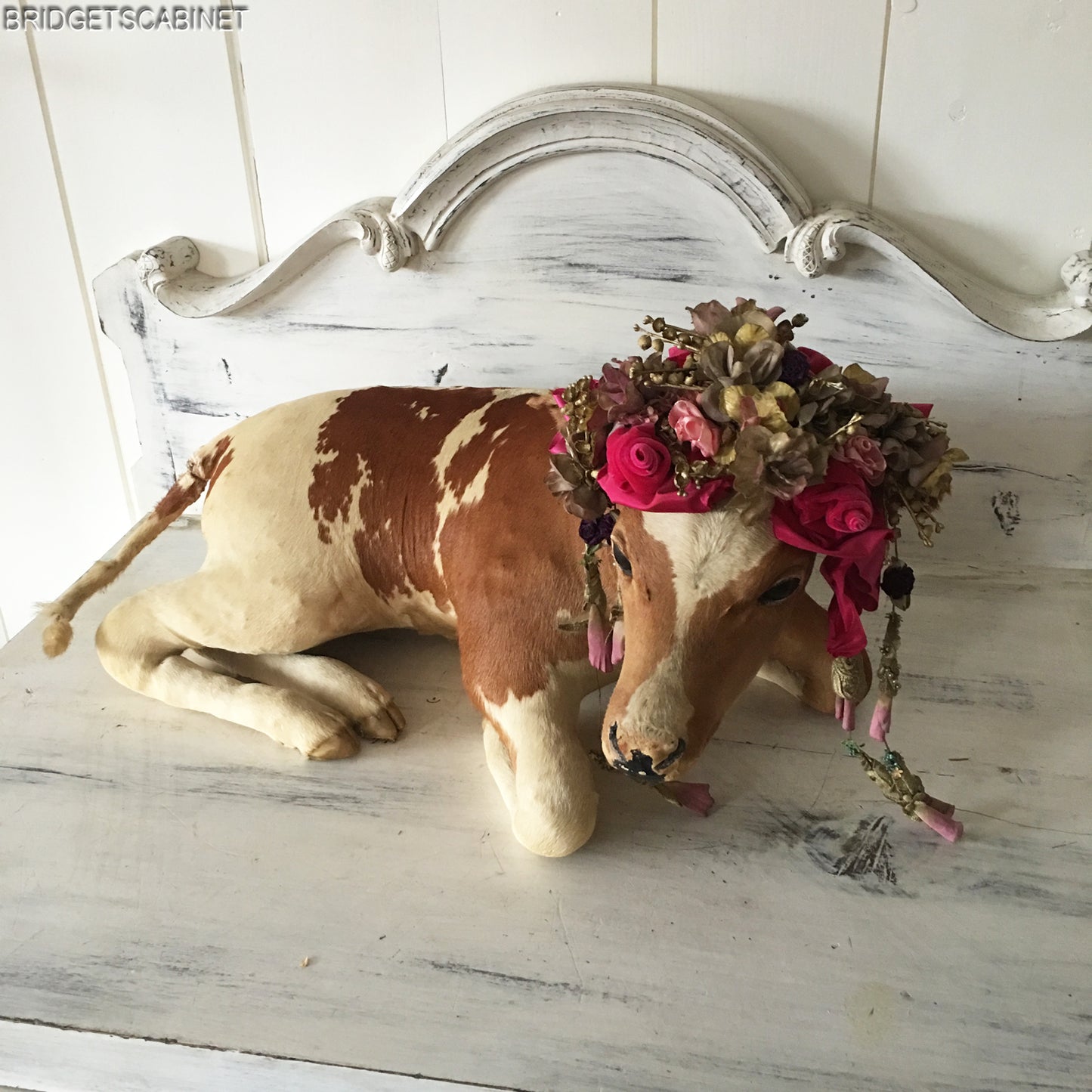 Antique Mini Taxidermy Calf