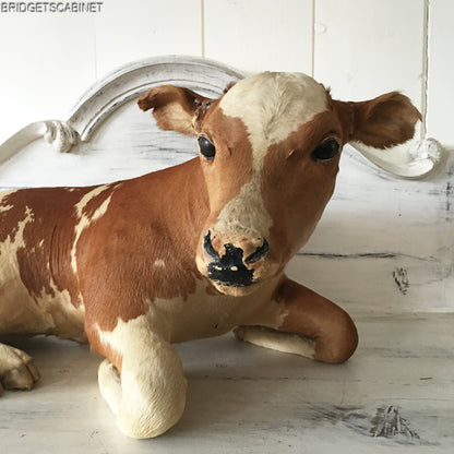 Antique Mini Taxidermy Calf