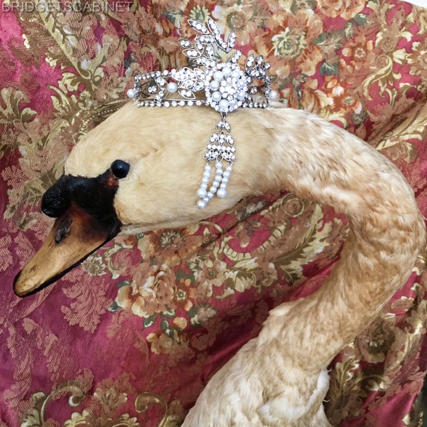1900s Large Taxidermy Swan
