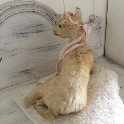 Vintage Taxidermy Goat
