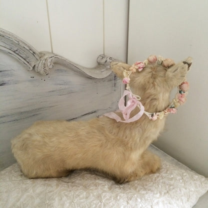 Vintage Taxidermy Goat