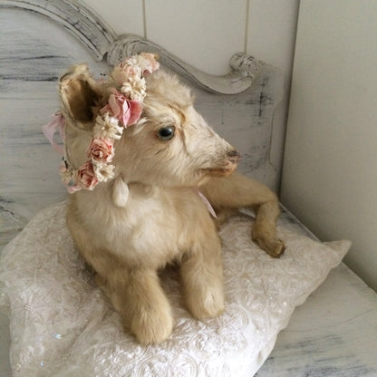 Vintage Taxidermy Goat