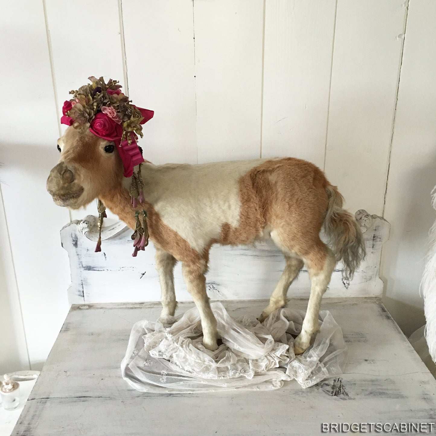 Antique Taxidermy Foal Horse Mounted