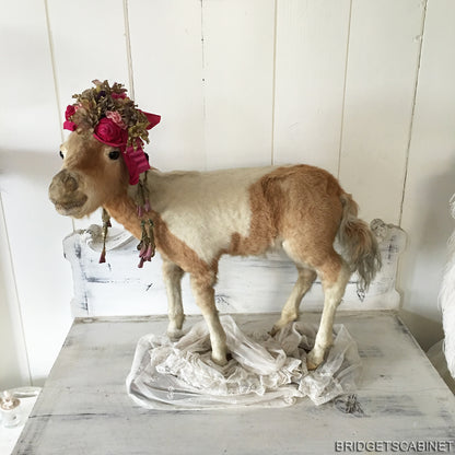 Antique Taxidermy Foal Horse Mounted