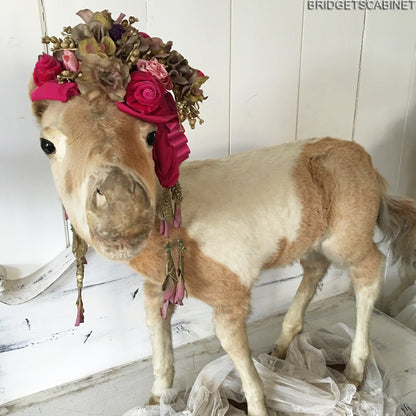 Antique Taxidermy Foal Horse Mounted