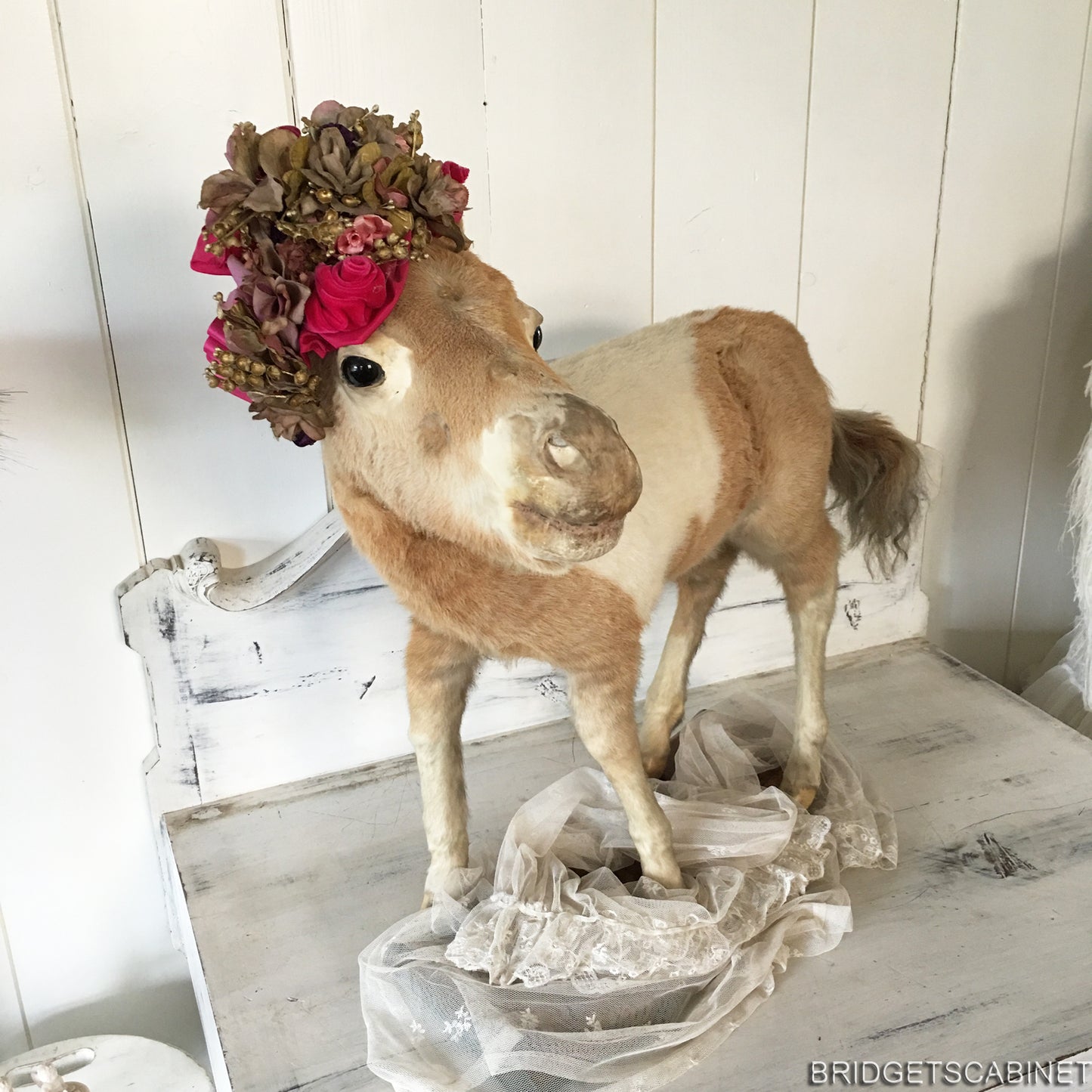 Antique Taxidermy Foal Horse Mounted