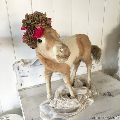 Antique Taxidermy Foal Horse Mounted