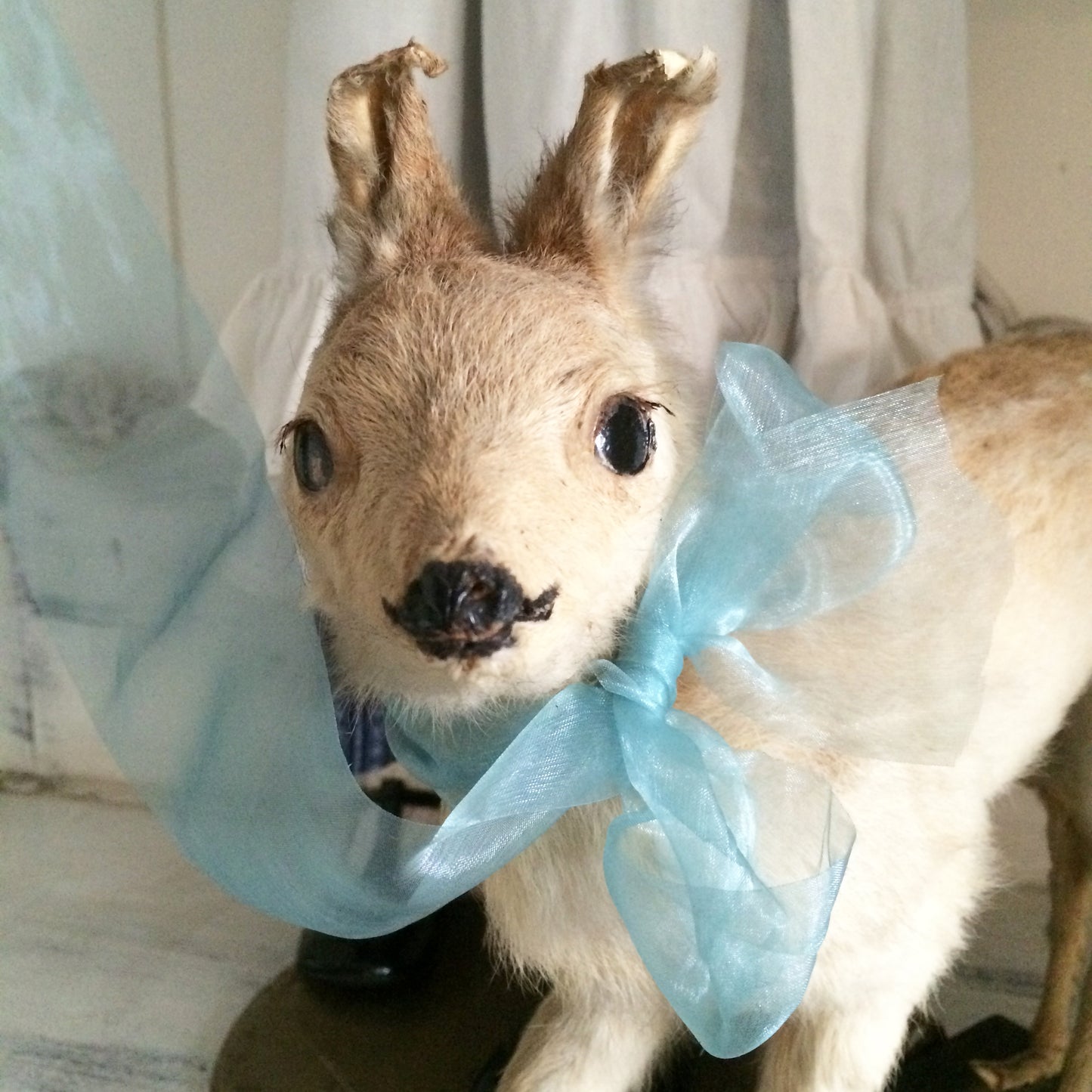 1920s German Pull Toy Baby Fawn Doll