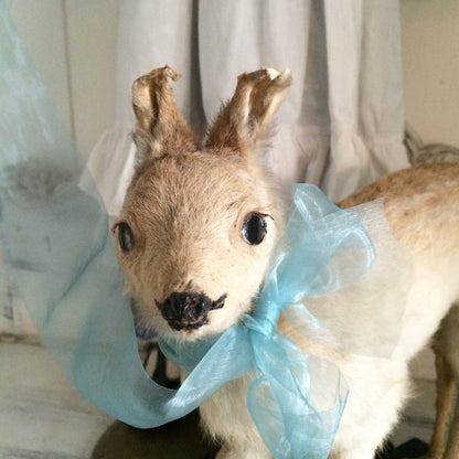 1920s German Pull Toy Baby Fawn Doll