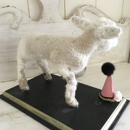 Taxidermy Mini Lamb