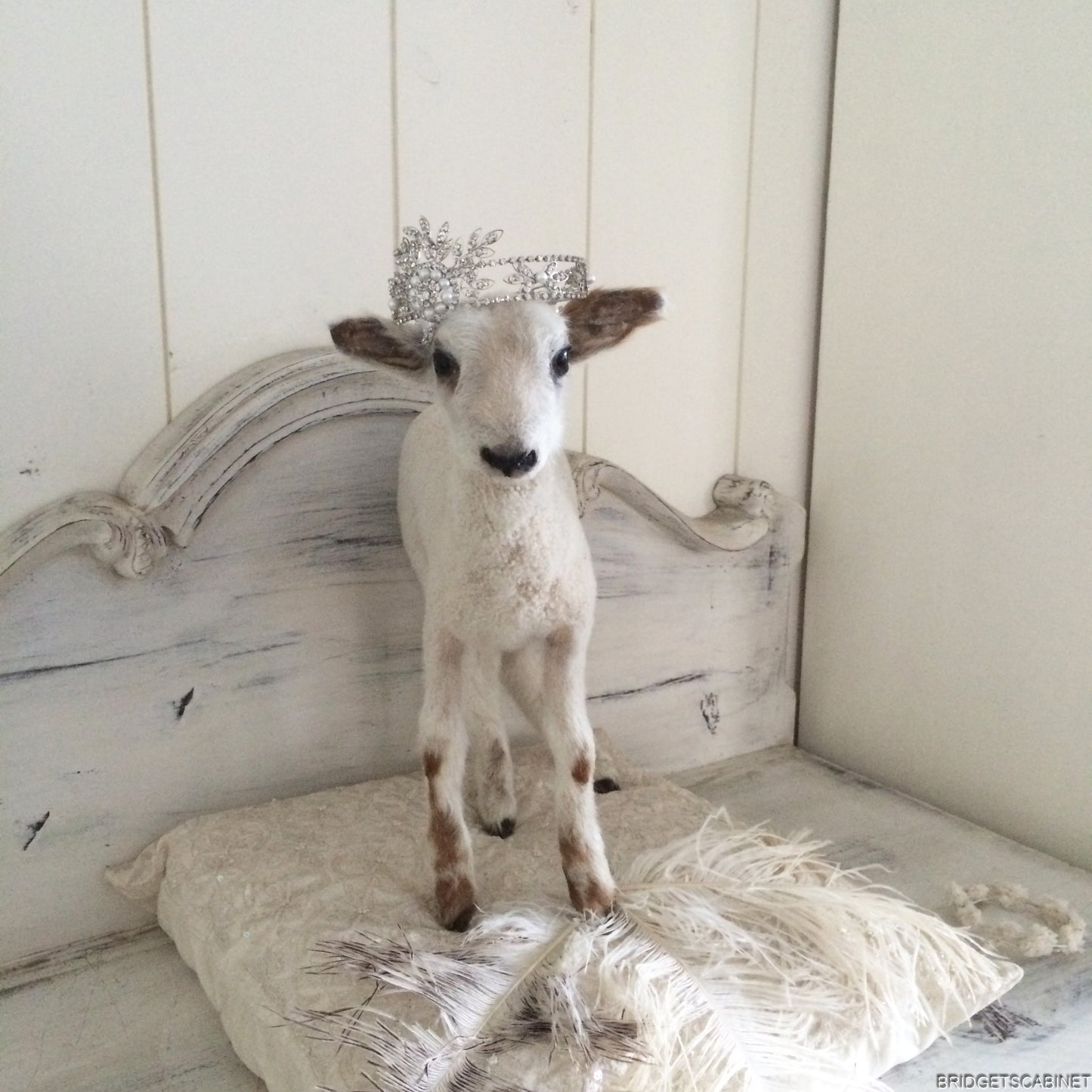 Taxidermy Lamb