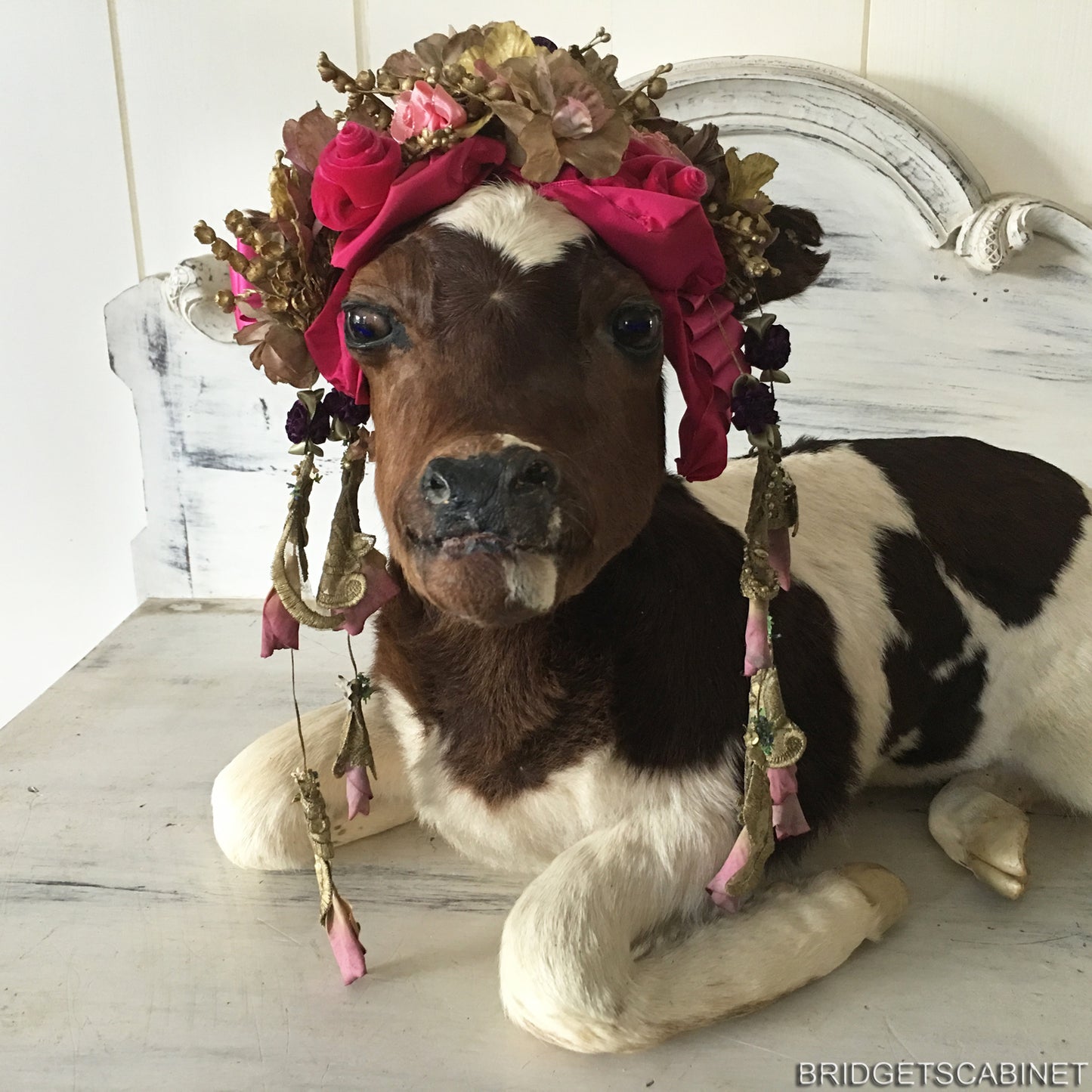 1930 Taxidermy Calf