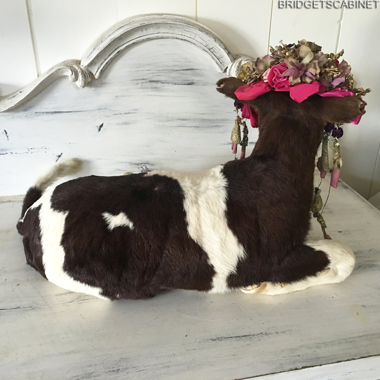 1930 Taxidermy Calf