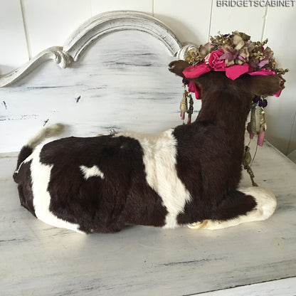 1930 Taxidermy Calf