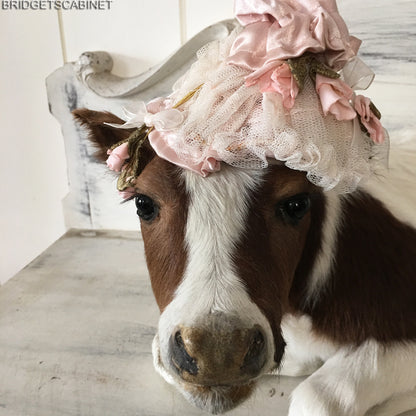 Taxidermy Brown/White Calf