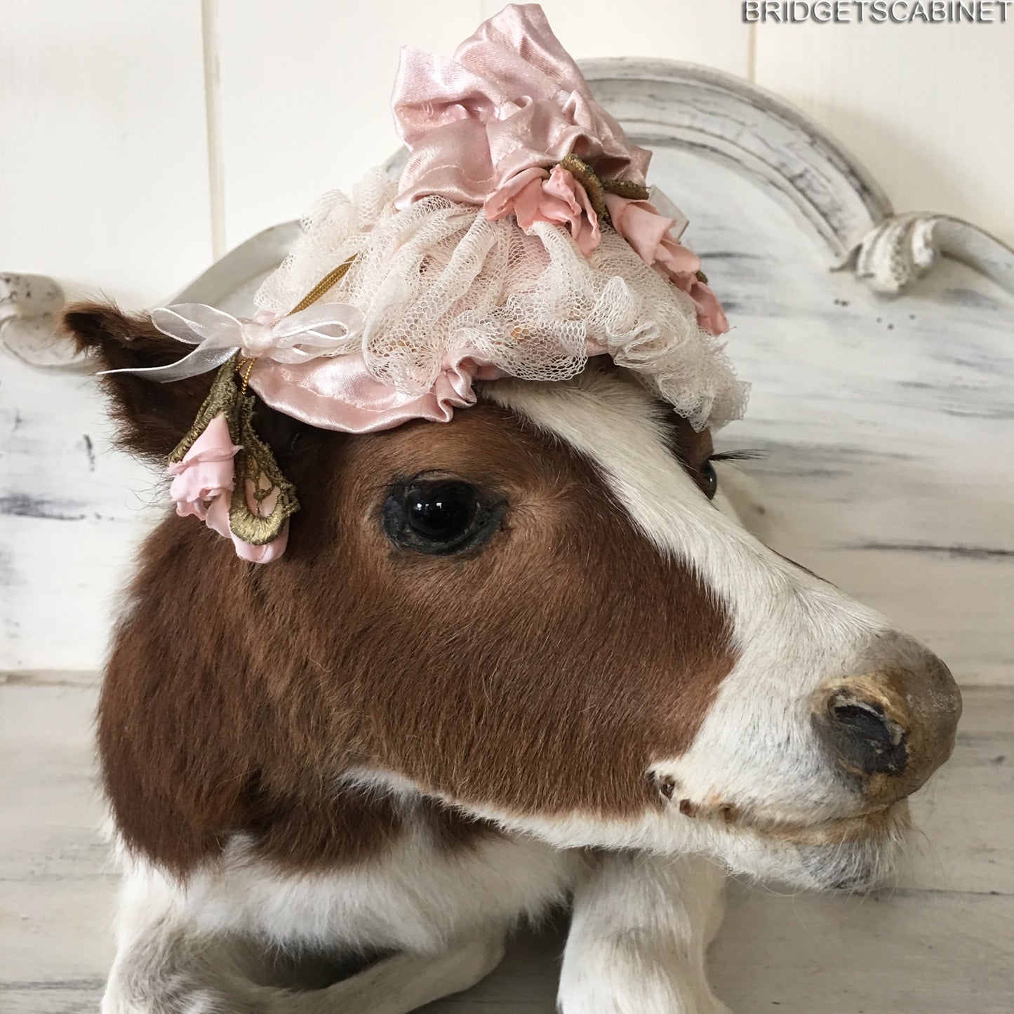 Taxidermy Brown/White Calf