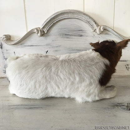 Taxidermy Brown/White Calf
