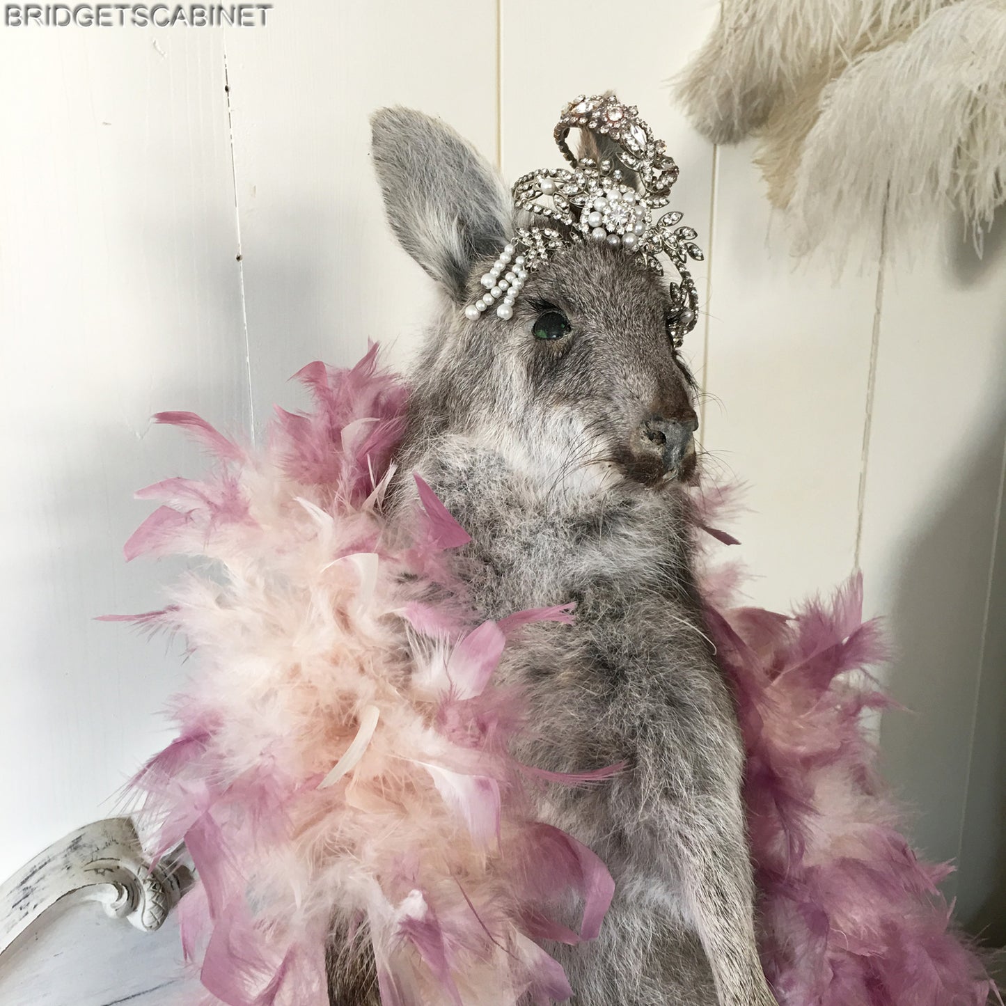 Vintage Taxidermy Wallaby