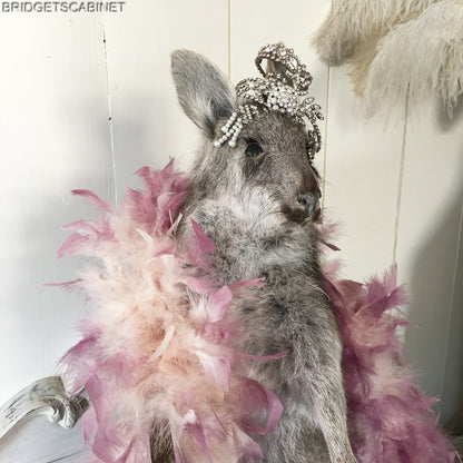 Vintage Taxidermy Wallaby