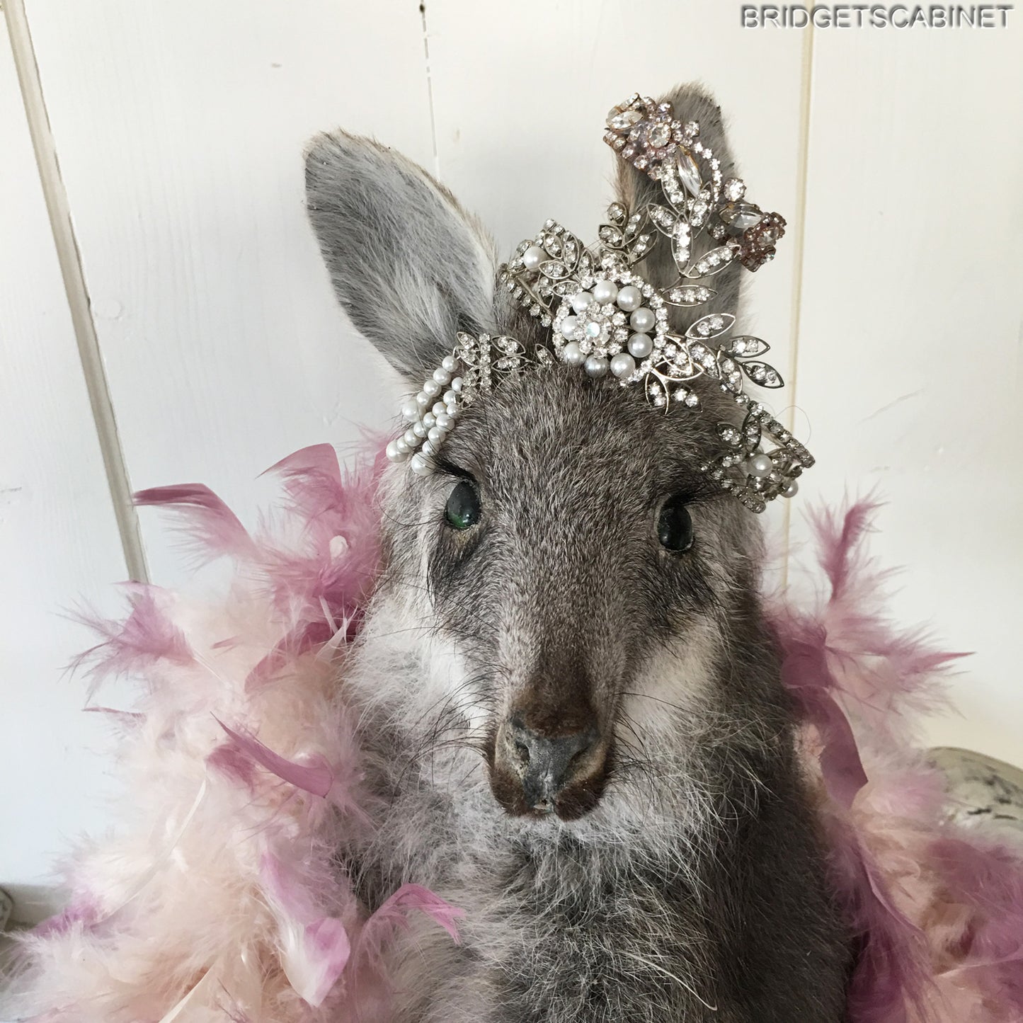 Vintage Taxidermy Wallaby