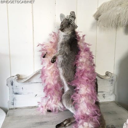 Vintage Taxidermy Wallaby