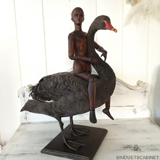 1930s Taxidermy Black Swan
