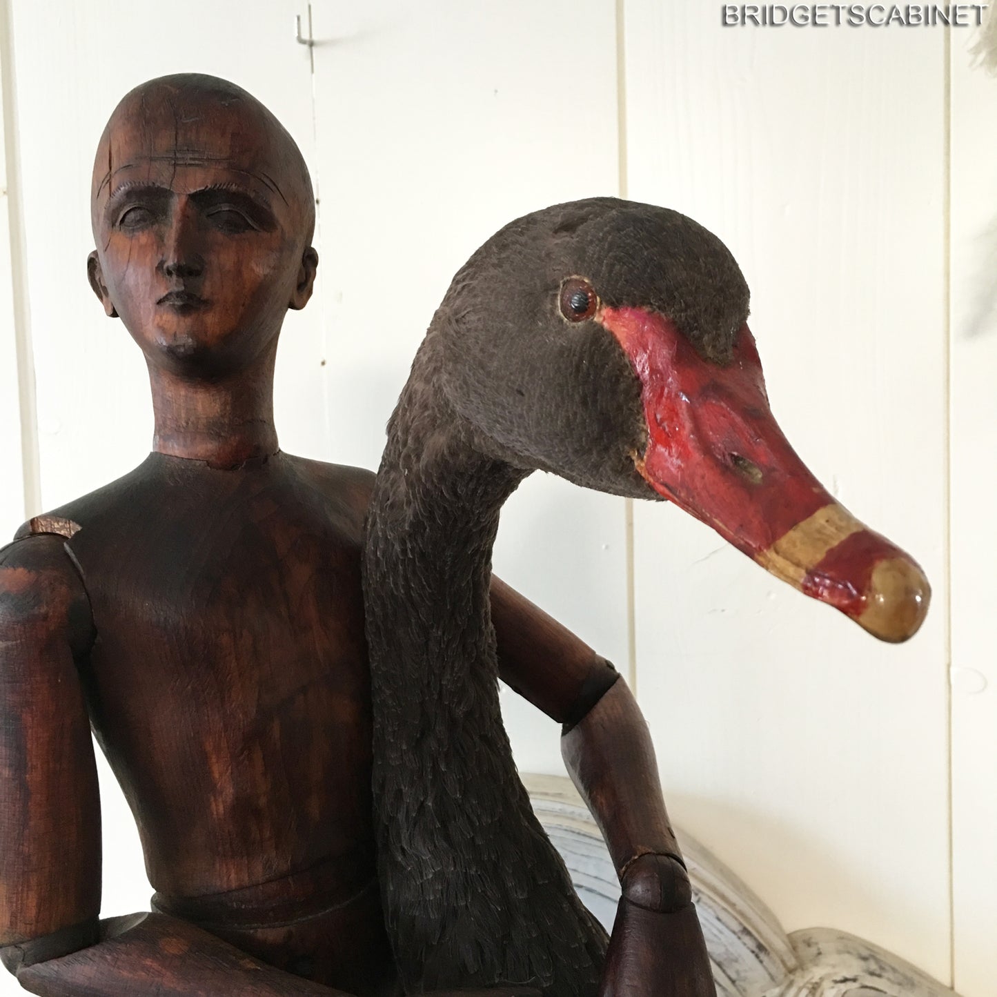 1930s Taxidermy Black Swan
