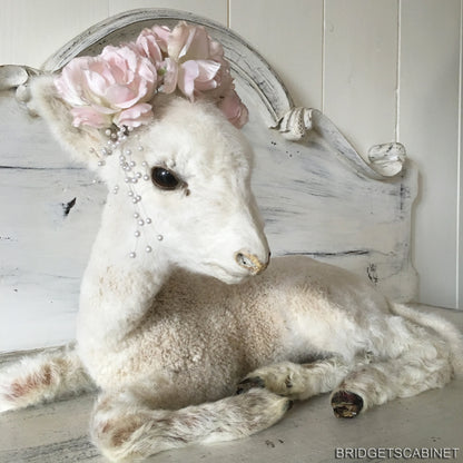 1940s Taxidermy Lamb