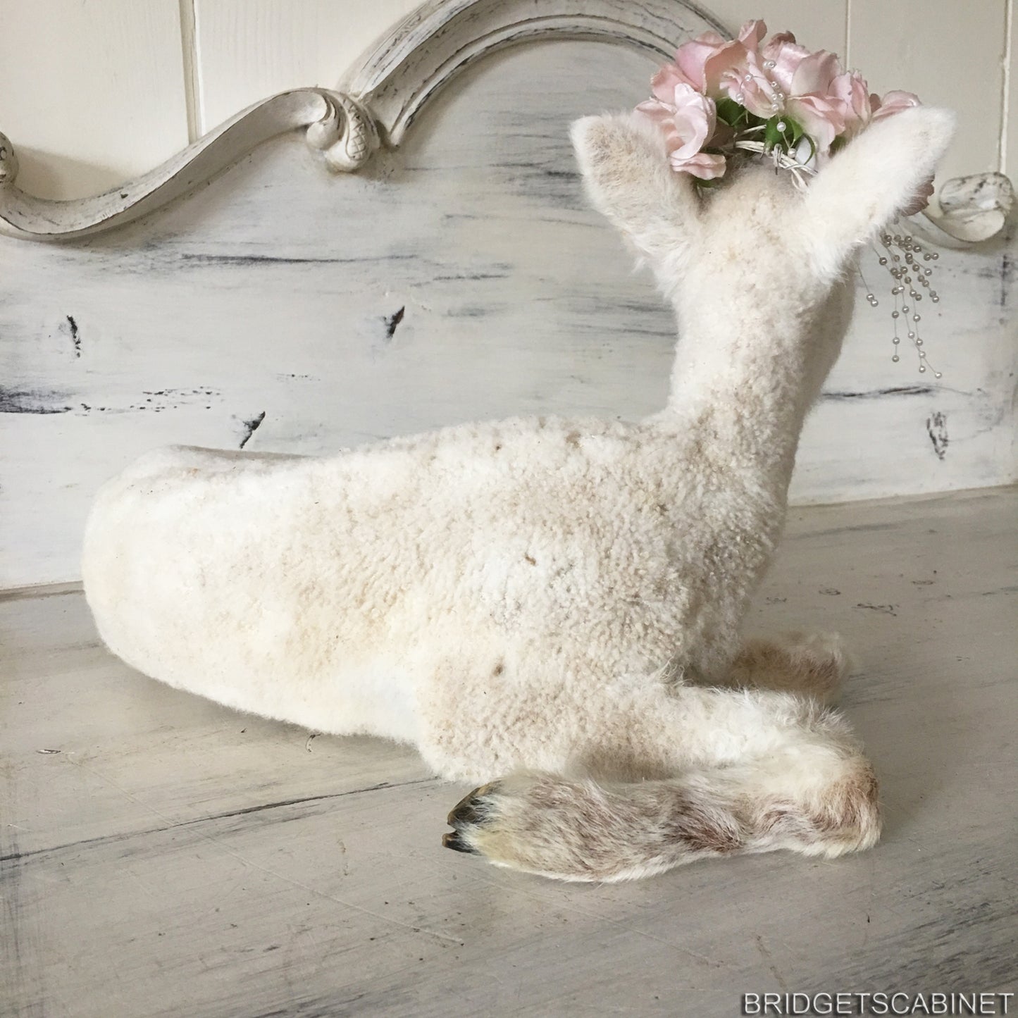 1940s Taxidermy Lamb